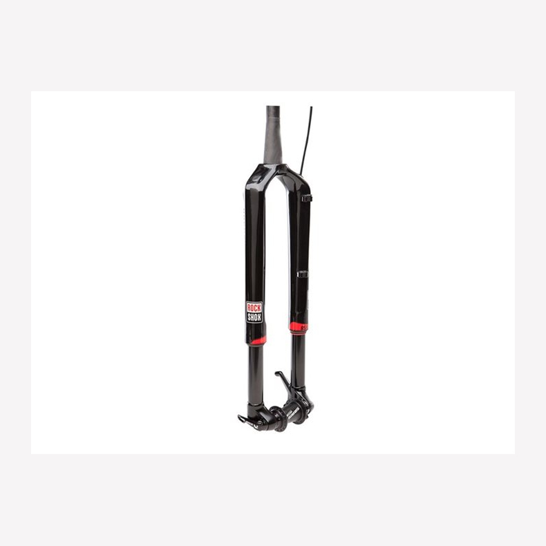 Rock Shox , Service RS1